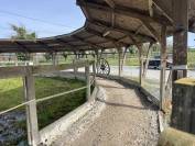 Eigenaren stal Koop Corr&egrave;ze