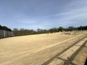 Eigenaren stal Koop Corr&egrave;ze