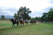 ATE (Accompagnatore Turismo Equestre) - CDD Tempo pieno - Pyrénées-Orientales Francia