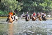 Equestrian tourism - Temporary contract Full time - Pyrénées-Orientales France
