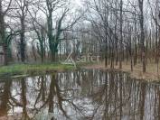 Propriété agricole bio sur 14ha de pré et bois proche Montpon