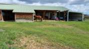 Equestrian property  Allier