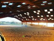 ECURIE de PROPRIETAIRE - CENTRE EQUESTRE - 10 ha