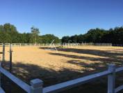 Proprietà equestre In vendita Vendée