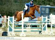 Prometteur fils de Kassander V't Roosakker