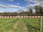 Propriété avec de beaux atouts - 70 boxes - carrière, manège