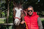 Ruin Andere paarden rassen Te koop 2017 Overige kleuren