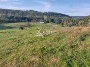 Ferme équestre de 8,7759 ha - FUTEAU