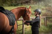 Jument PRE 5 ans Dressage, Equitation travail