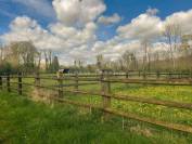 Equestrian property  Orne