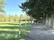 Magnifique propriété équestre avec mas sur 5 hectares