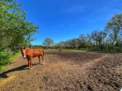 Equestrian property  Tarn-et-Taronne