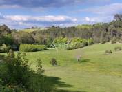 Très belle propriété en pierre avec 4 maisons, sur 11ha, proc