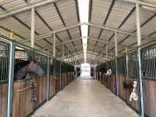 Pensions chevaux - Haras des Sablons - Chatres