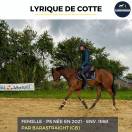 Mare Thoroughbred For sale 2021 Bay