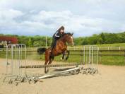 Monitrice d'équitation diplômée