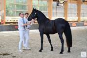 Arabofrison Champion Modele & Allure classe C/D  AFCAF