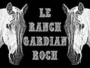 Pension pour chevaux - Le Ranch Gardian Roch (74)