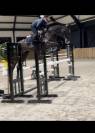 Top cheval - jumping- 9ans