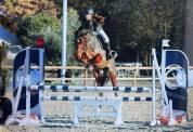 Ponette cso 