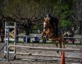 Ponette cso 