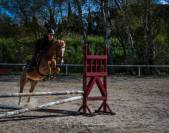 Ponette cso 