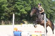 SEJOUR EQUITATION EN NORMANDIE