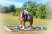 La méthode équine Impériale vous présente les chevaux..