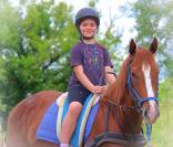 La méthode équine Impériale vous présente les chevaux..