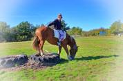 La méthode équine Impériale vous présente les chevaux..