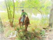 La méthode équine Impériale vous présente les chevaux..