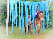 Gelding Ardennes For sale 2021 Light chestnut