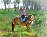Gelding Ardennes For sale 2021 Light chestnut