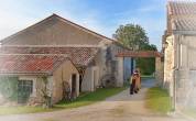 Gelding Ardennes For sale 2021 Light chestnut