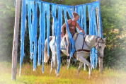 La méthode équine Impériale vous présente les chevaux..