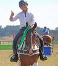 Gelding Ardennes For sale 2021 Light chestnut