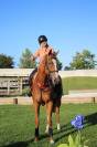Gelding Ardennes For sale 2021 Light chestnut
