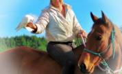 Gelding Ardennes For sale 2021 Light chestnut