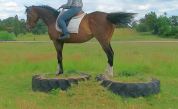 La m&eacute;thode &eacute;quine Imp&eacute;riale vous pr&eacute;sente les chevaux..