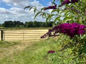 Pension chevaux - 35 min du Mans/25 de Sablé-sur-Sarthe