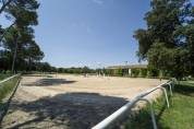 Splendie haras sur plus de 40 hectares