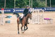 Hongre Selle Français 10 ans  CSO amateur 1et Hunter 1 