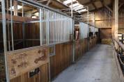 Stud farm  Calvados