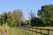 Stud farm  Calvados