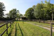 Stud farm  Calvados