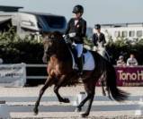 NOSTALGICO; Cheval de rêve pour dressage