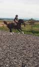 Top poney PFS 4 ans 