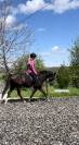 Top poney PFS 4 ans 