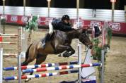 Cheval de 6ans pour aller sauter 140