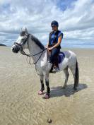 Poney de sport 